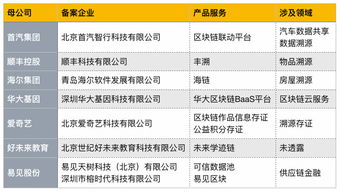 首批區(qū)塊鏈信息服務(wù)備案名單公布，京東、愛奇藝等互聯(lián)網(wǎng)巨頭積極布局